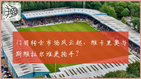 门将转会市场风云起，维卡里奥与斯维拉尔谁更抢手？