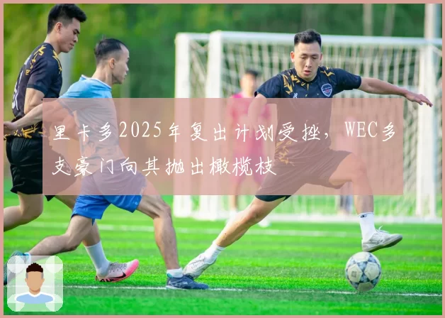 里卡多2025年复出计划受挫,WEC多支豪门向其抛出橄榄枝